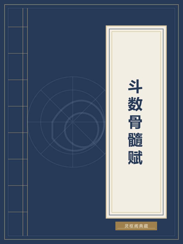 斗数骨髓赋封面
